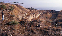 the rock-cut trench on the east side of tel